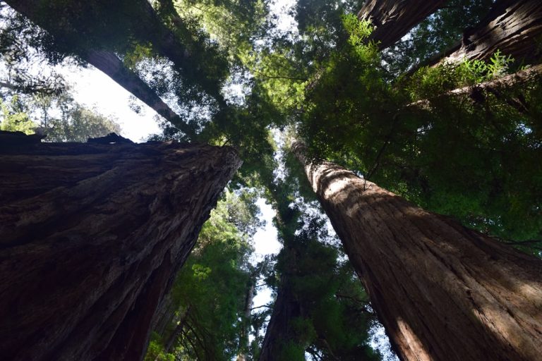 Exploring the Future of Outdoor Travel: Innovations and Trends to Watch in 2024