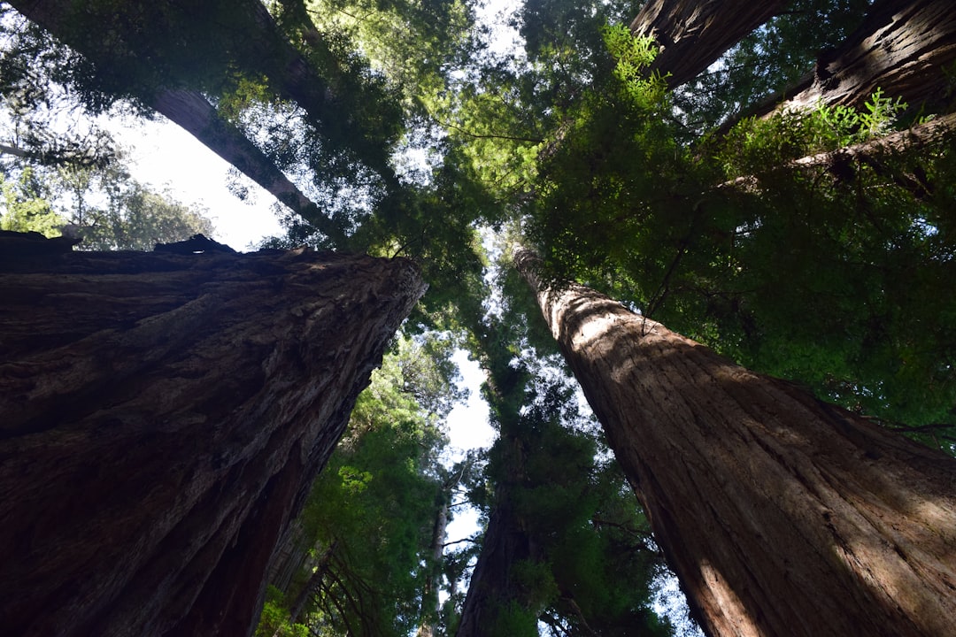 Exploring the Future of Outdoor Travel: Innovations and Trends to Watch in 2024