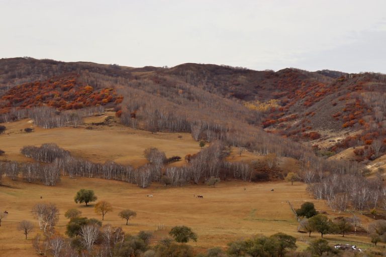 Unlocking the Great Outdoors: Your Ultimate Guide to Budget-Friendly Adventures