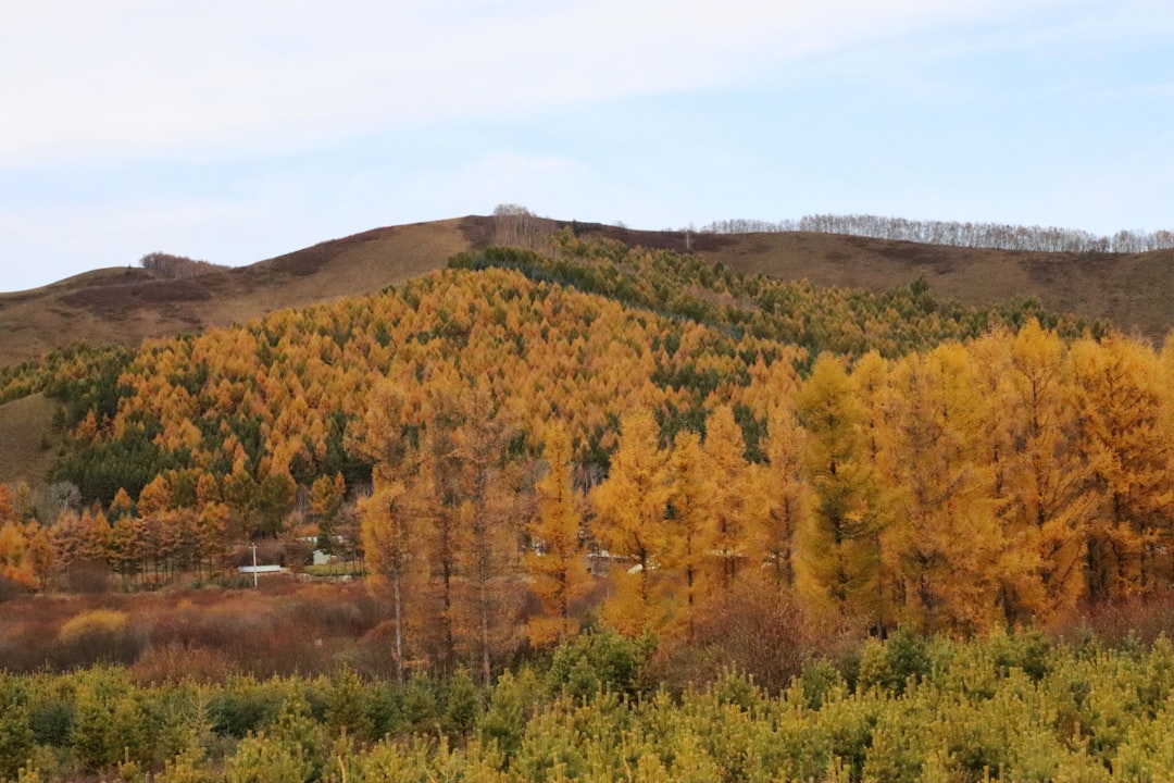 Exploring the Great Outdoors: The Rise of Eco-Friendly Travel Trends